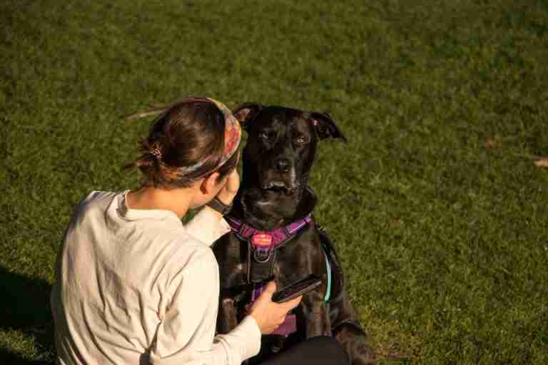 A woman and her dog relaxing in a Seattle park. Captured on a sunny day emphasizing outdoor leisure.